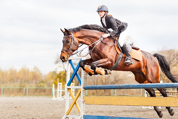 Williamsburg Student Horseback riding